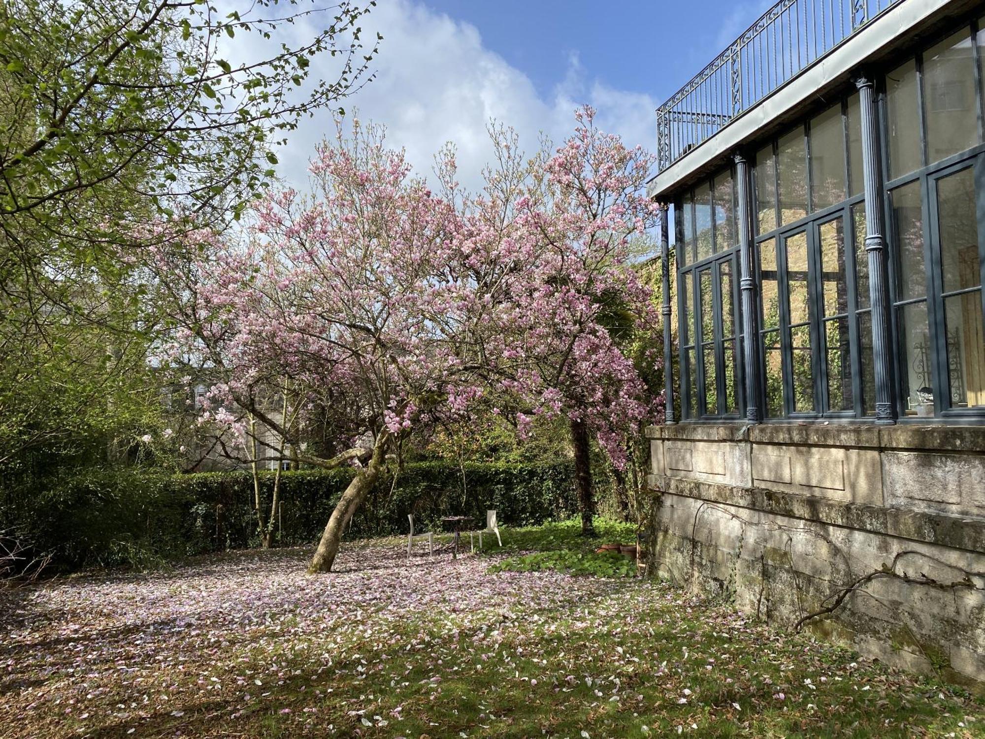 La Villa Beaupeyrat - Apparthotels De Charme Dans Batisse De Caractere A 400M Du Coeur De Ville De Лимож Стая снимка